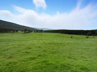 64 Mersey Forest Road, Liena
