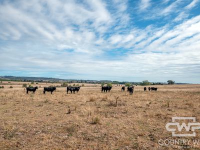 172 Hazelwood Road, Stonehenge