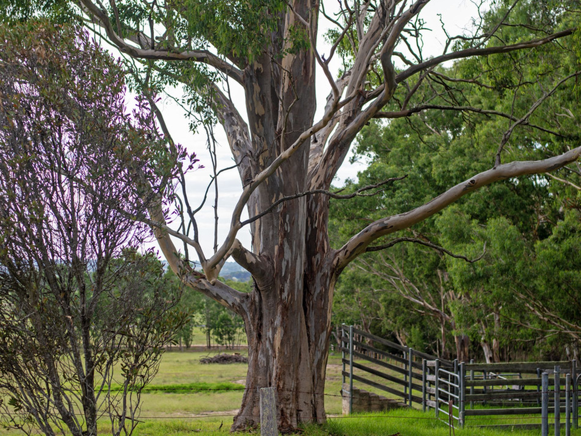 50 Locks Road, Boisdale