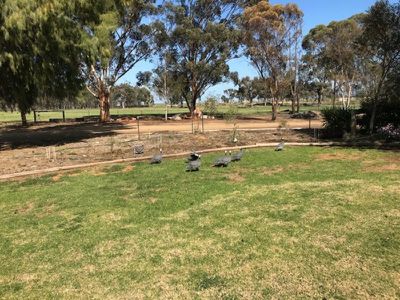 3935 Rangemore Road, Barham