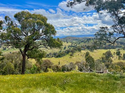 621 U T Creek Road, Alexandra