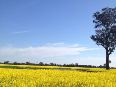 Goombargana Road, Howlong