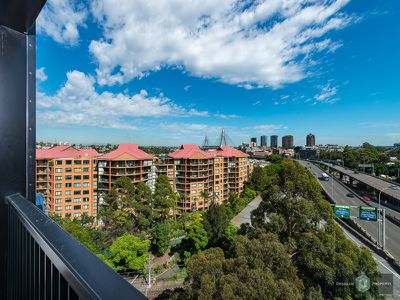 703 / 280 Jones Street, Pyrmont