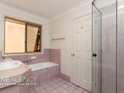 11 Napier Pl, Forest Lake