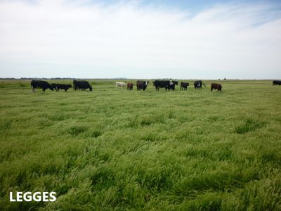 581 Mount Hope Road, Millicent