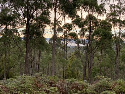 Lot 1 off Dam Road, Saltwater River