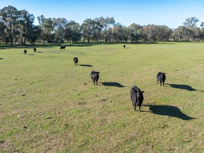 'Willowbank' Urana Road, Jindera