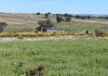 117 HILLSIDE LANE, Daroobalgie