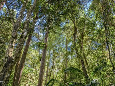 975 Green Pigeon Road, Green Pigeon Via, Kyogle