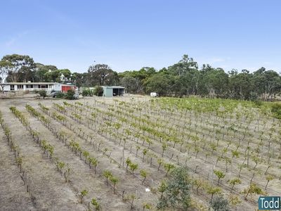 39 Reynolds Court, Graytown