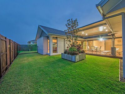 31 Macquarie Sreet, Wakerley