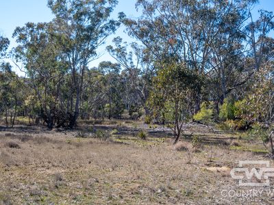 222 Strathbogie Road, Emmaville