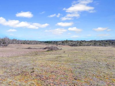 Lot 193 / 443 Back Creek Road, Mongarlowe