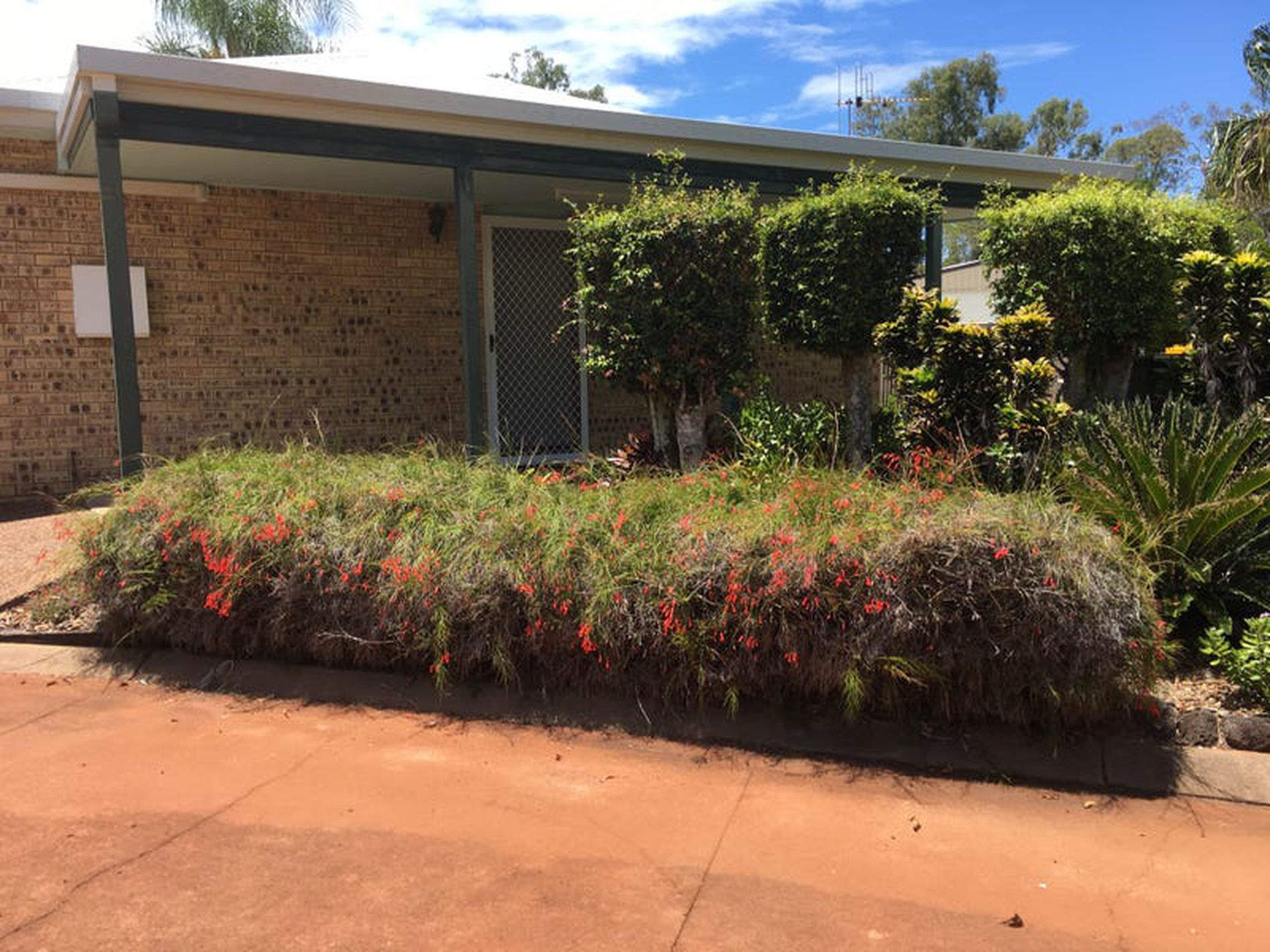4 / 19 Pepperina Court, Woodgate