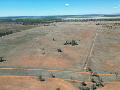 Lot  LOT 1 LP135805, 1  Cocketgedong Road, Urana
