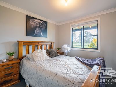 145 Jabez Hill Road, Guyra