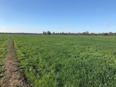 317 Lilford Lane, Barham