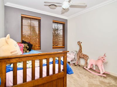 17 Lemon Gum Drive , Baldivis