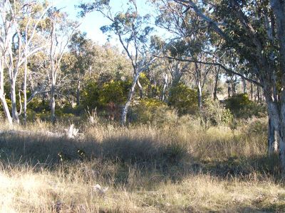 Lot 19 Silent Grove, Torrington