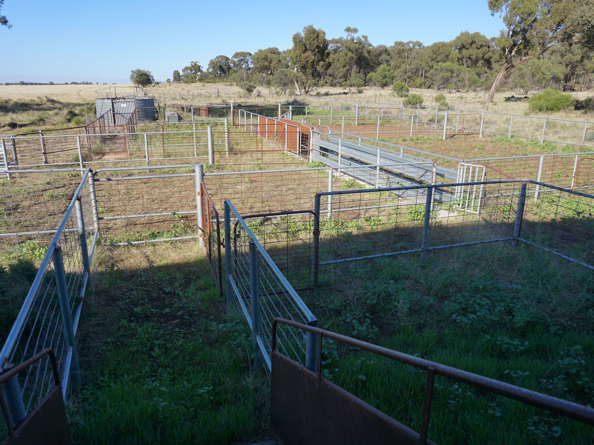 'Durringle' 104 Pfeiffers Lane, West Wyalong