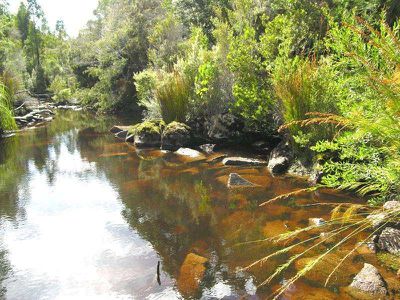 7736 Huon Highway, Strathblane