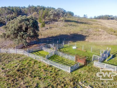 3889 Nullamanna Road, Wellingrove