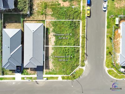 9 Criollo Street, Box Hill