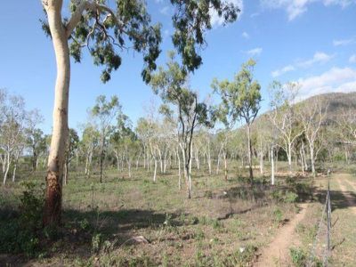 Mareeba