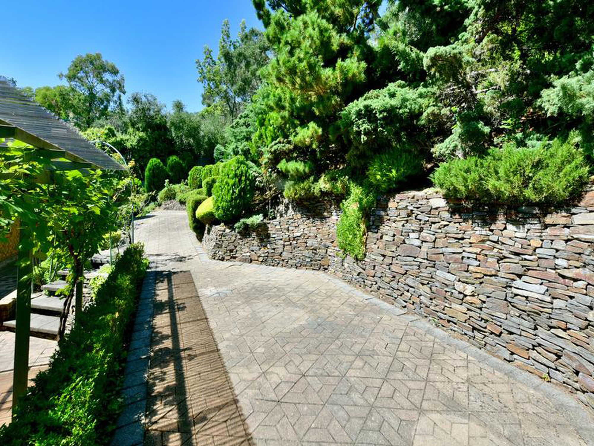 22 Wyfield Street, Wattle Park