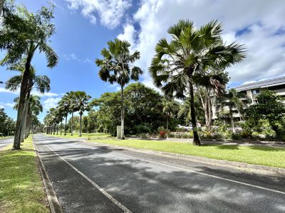 116 / 57-65 Paradise Palm Drive , Kewarra Beach