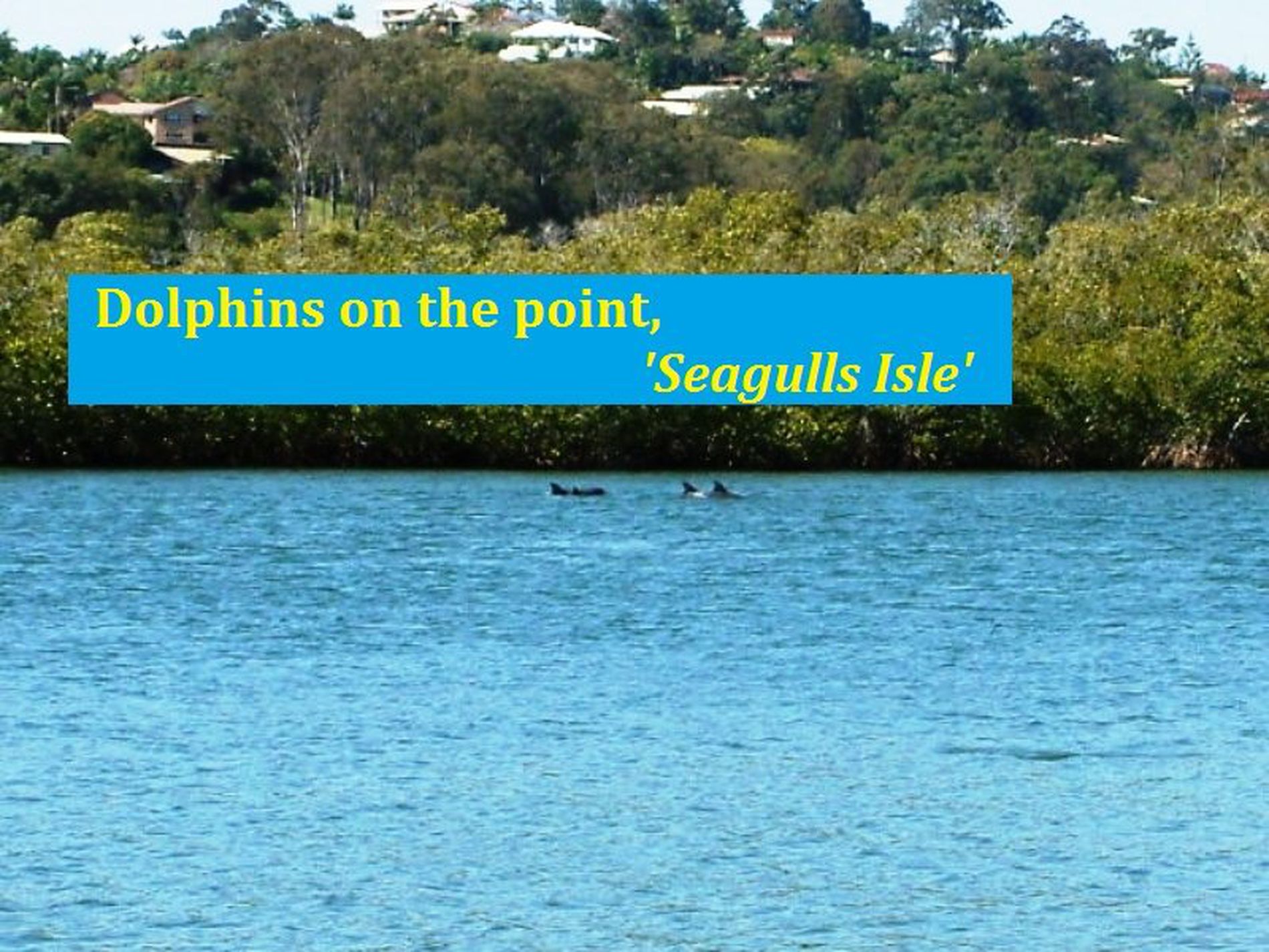 12 Sunset Boulevarde, Tweed Heads West