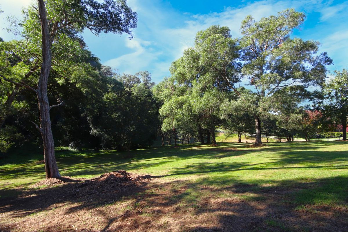 83 Rainforest Parkway, Narooma