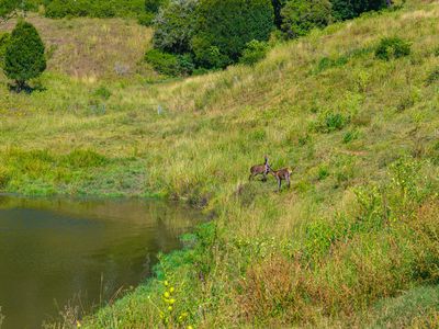 343 Walli Mountain Road, Kenilworth