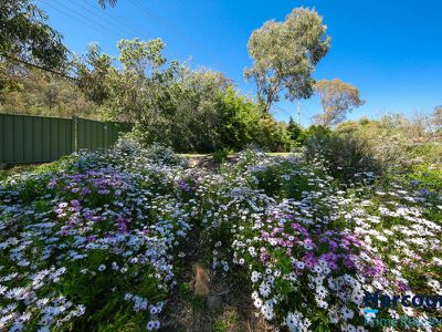 23 Fairley Crescent, Theodore