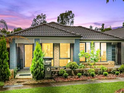 10 Guillemot Street, Cranebrook
