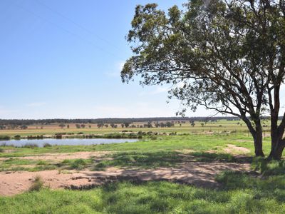44L Burrabadine Road, Dubbo