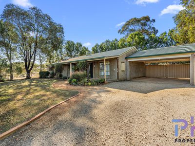19 Trent Court, Axe Creek