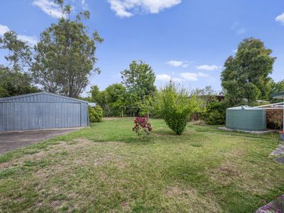 8 Minerva Street, Mansfield