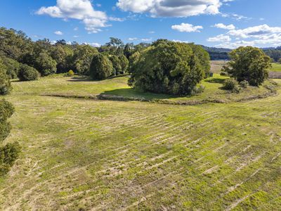 162 BLUE KNOB ROAD, Nimbin