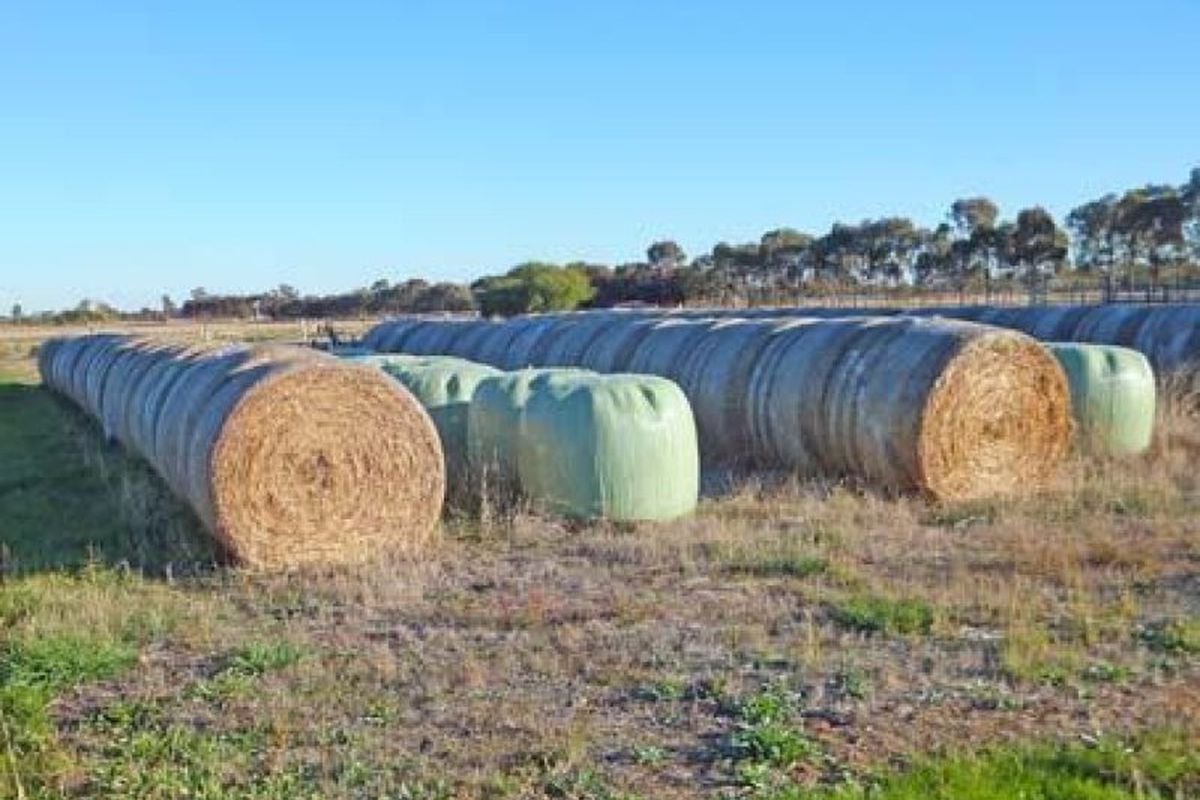 Trevaskis Road, Kyabram