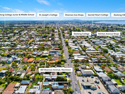 1 / 401 Shannon Avenue, Newtown