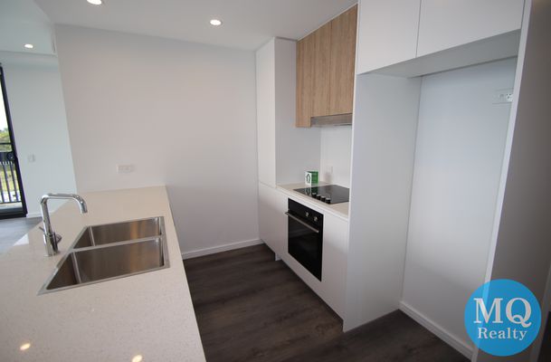 509 / 11 RAPHAEL STREET, Lidcombe