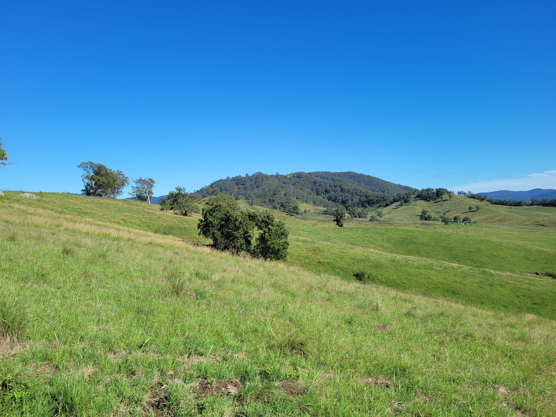 552 Neringla Road, Neringla