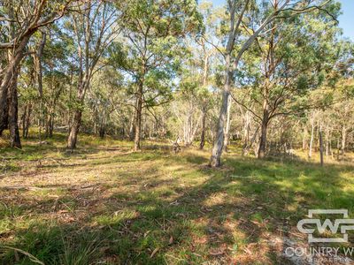 1457 Morven Road, Glen Innes