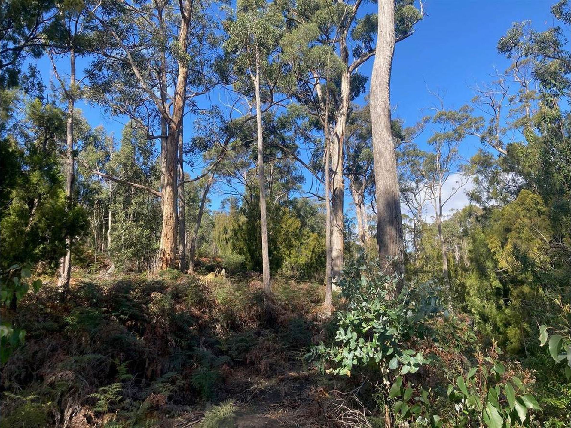 Lot 1 off Dam Road, Saltwater River