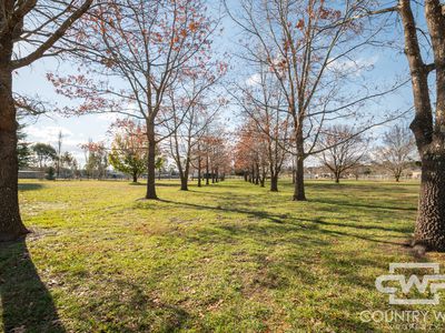 19 Glen Legh Road, Glen Innes