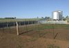 198 Barragan Road, Cargo