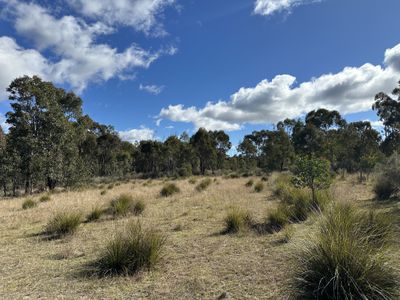 454 Cainbil Road, Coolah