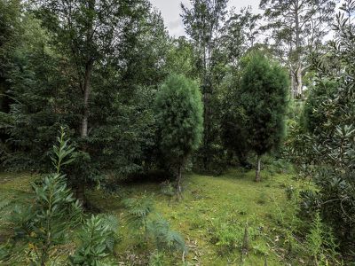 243 Judds Creek Road, Judbury