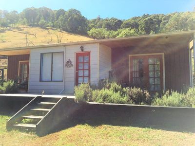 Running Springs - 447 Little Snowy Creek Rd, Eskdale